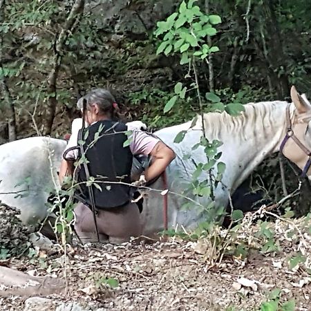 Ostello La Miniera Massa Marittima Zewnętrze zdjęcie