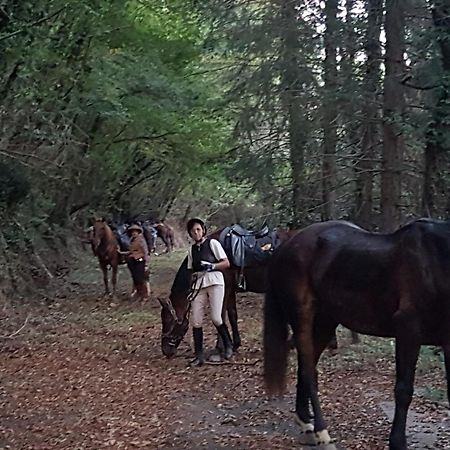 Ostello La Miniera Massa Marittima Zewnętrze zdjęcie