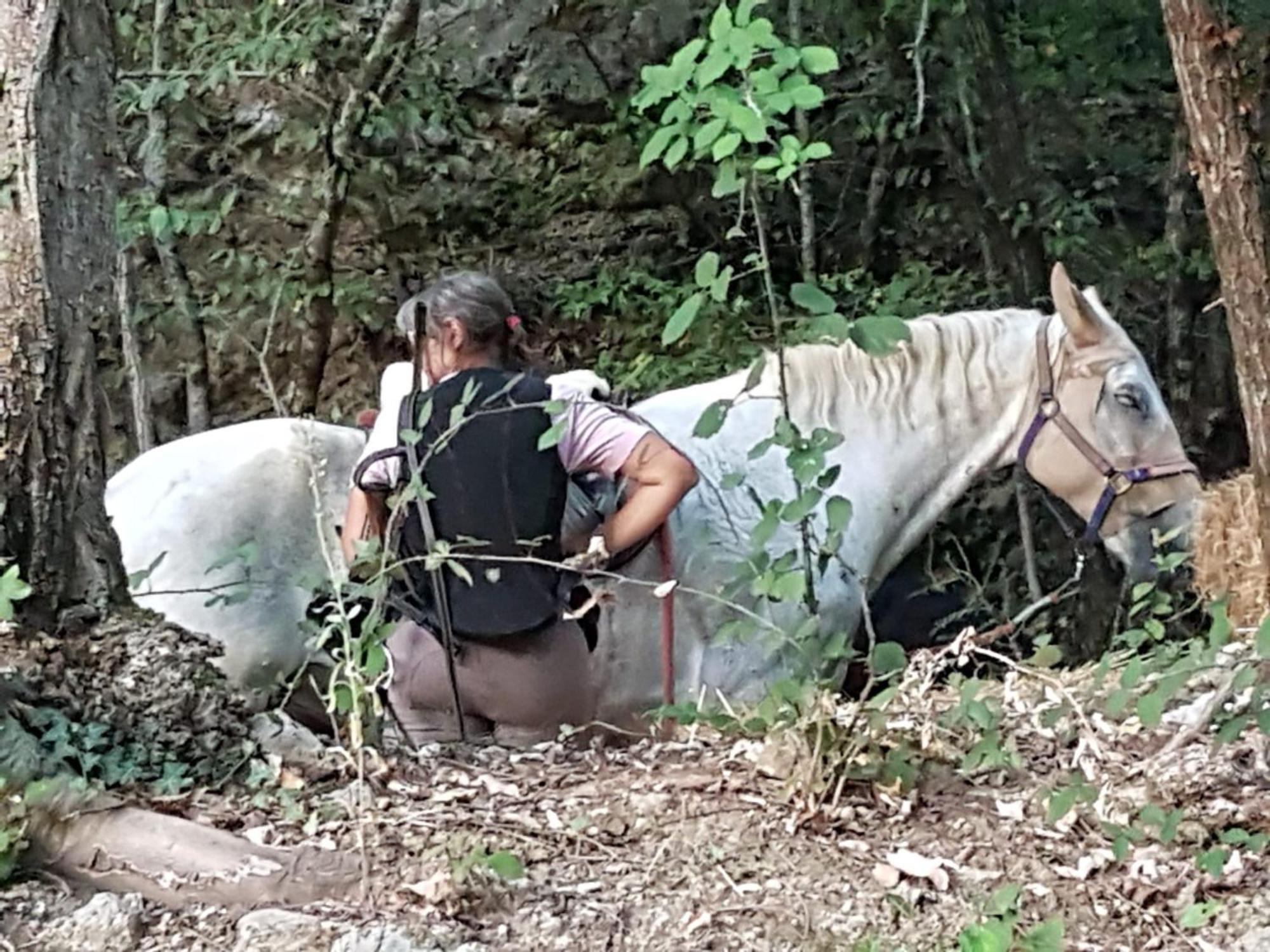 Ostello La Miniera Massa Marittima Zewnętrze zdjęcie